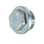 Head plug